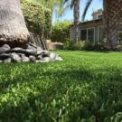 Artificial-grass